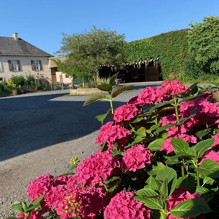 Le Moulin De La Fosse Soucy "La Maison Du Meunier" Villa Maisons  Exteriör bild