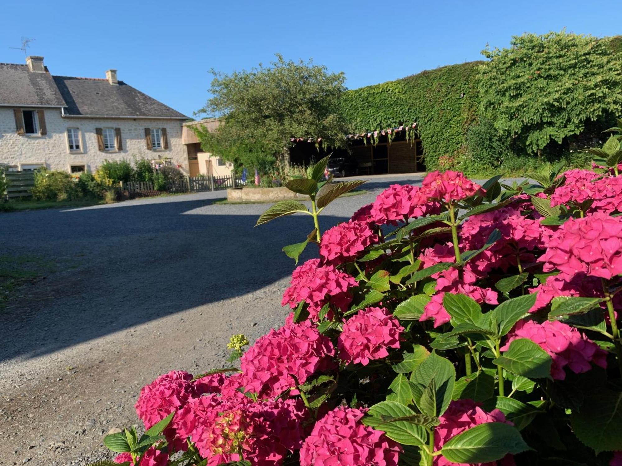 Le Moulin De La Fosse Soucy "La Maison Du Meunier" Villa Maisons  Exteriör bild